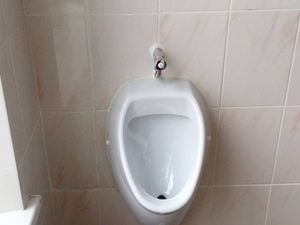Церемония открытия школьного туалета в Раздельнянском районе озадачила общественность