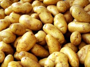 Овощ в быту: 9 невероятных способов полезного применения картошки