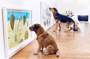 Первая в мире выставка для собак понравилась собакам!