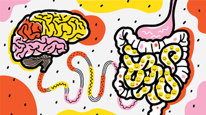 Низший разум: Как кишечные бактерии управляют нашим мозгом