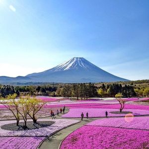 Гора Фудзи - Япония