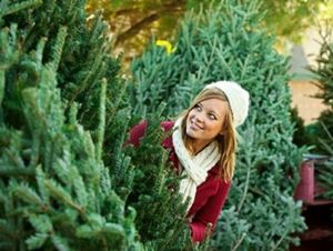 Несколько советов как сохранить живую новогоднюю елку дома подольше