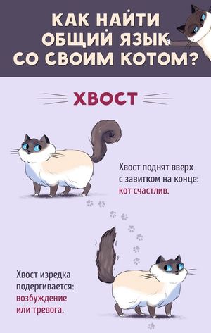 Инструкция по котам.