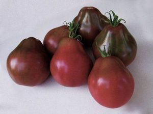 Как вырастить томат японский трюфель