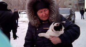 В Казахстане из-под завалов рухнувшего дома вытащили живого кота