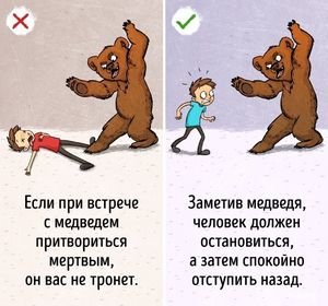 9 советов по выживанию, следовать которым не стоит