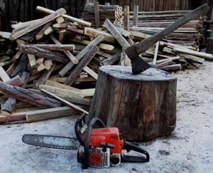 Заготовка дров — дело важное