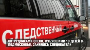 Сотрудниками опеки, изъявшими 10 детей в Подмосковье, занялся Следственный комитет