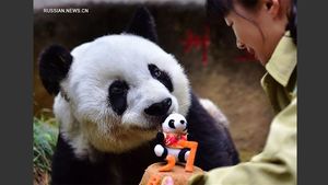 Самая старая панда в мире отпраздновала день рождения