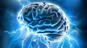 В Гарвардском университете выращен искусственный мозг, состоящий из трех областей