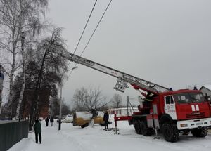 Пожарные Котовска снимали кота с дерева с помощью 30-метровой лестницы