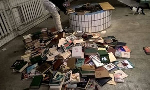 В киевском вузе нацисты сожгли русские книги с криками «Слава Украине!»