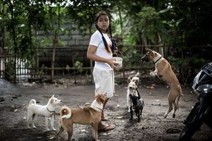 Больную девочку с острова Бали вылечила собака