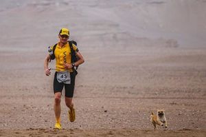 Собачка пробежала 100 миль, чтобы доказать свою верность…