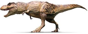 Девочка! Ученым удалось точно определить пол «мамаши-динозавра»