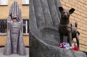 Одна из самых вопиющих несправедливостей в истории, то что эта собака — не Герой Советского Союза