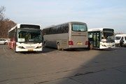 Автобусы в аэропорт Домодедово стали меньше