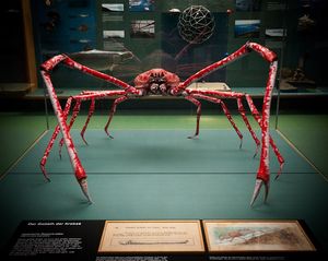 Японский краб-паук (лат. Macrocheira kaempferi) —  один из самых крупных членистоногих на планете