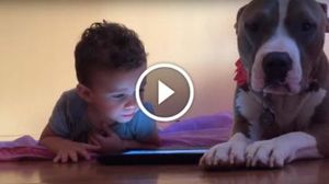 Ребёнок, планшет и собака