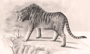 Загадочный зверь Мнгва — африканский тигр, ростом с осла