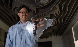 Американским инженерам удалось создать робота-летучую мышь