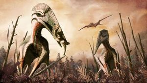 В Трансильвании найдены останки птерозавра, лакомившегося динозаврами размером с лошадь
