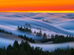Нереально красивые фотографии волн… тумана