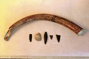 Найдены древнейшие музыкальные инструменты в Мире возрастом 37000 лет. Концерт на костях мамонта возрастом 20000 лет.