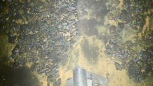 Мощная радиация внутри «Фукусимы-1» в буквальном смысле поджаривает робота-уборщика