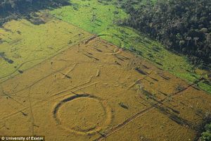 На Амазонке нашли таинственные древние «узоры» на земле