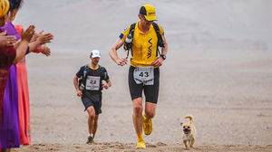 Бездомная собака пробежала за спортсменом 40 км во время марафона и обрела нового хозяина
