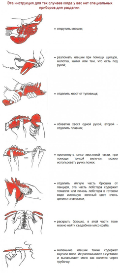Правила употребления устриц, улиток и крабов