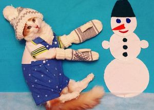 Познакомьтесь с Кузей, настоящим котом-путешественником из России.