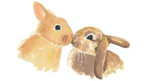 Скрещиваются ли заяц и кролик?