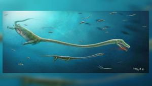 Палеонтологи нашли окаменелые останки беременного "морского монстра"