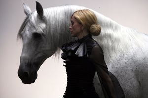 14 звезд кино, известных любовью к лошадям