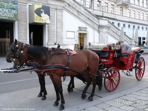 Вечерние венские прогулки: от Нойер-Маркт до ирландского паба