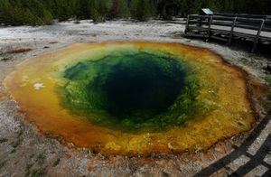 Гейзеры, бизоны и другие достопримечательности Йеллоустоуна