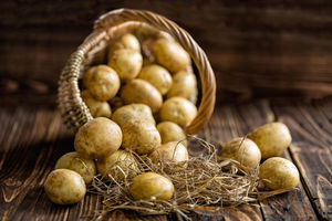 Грибные и бактериальные гнили картофеля