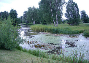 Русские водные сады