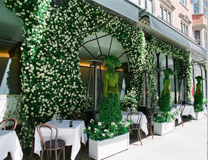 Dior's Terrace at Scott's caffe London