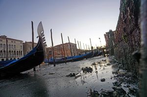 К 2100 году Венеция может уйти под воду