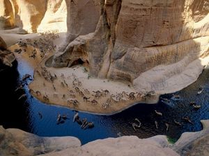 Гельта д’Аршей — самый известный постоянный источник воды в Чаде