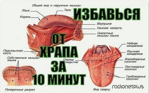 КАК ЗА 10 МИНУТ ИЗБАВИТЬСЯ ОТ ХРАПА НАДОЛГО