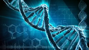Флешка: станет ли ДНК альтернативным носителем информации?