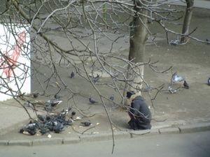 «Жизнь по-новому»: голодная одесситка отбирала хлеб у голубей