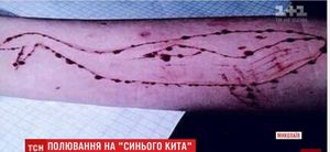 Николаевский студент разоблачил куратора «Синих китов», инсценировав самоубийство