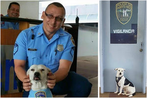 С улицы – на службу: бездомный пес нашел работу в полицейском участке