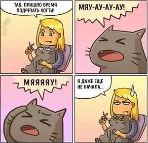 Забавные комиксы про жизнь с кошкой