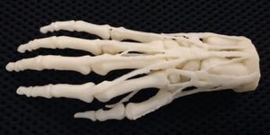 Американские госпитали начнут печатать протезы на 3D-принтерах